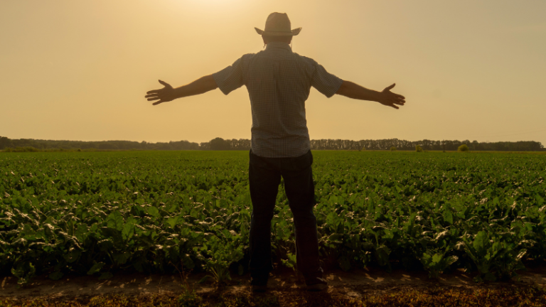 Aprendizados do campo que moldam líderes inspiradores na gestão moderna Alfredo Moreira Filho mostra como as lições do campo formam líderes resilientes e estratégicos na gestão contemporânea.