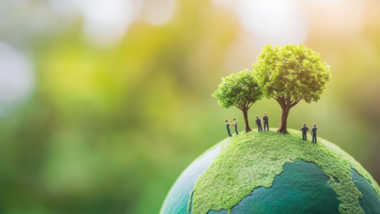 Como a lente econômica pode fortalecer a política ambiental brasileira