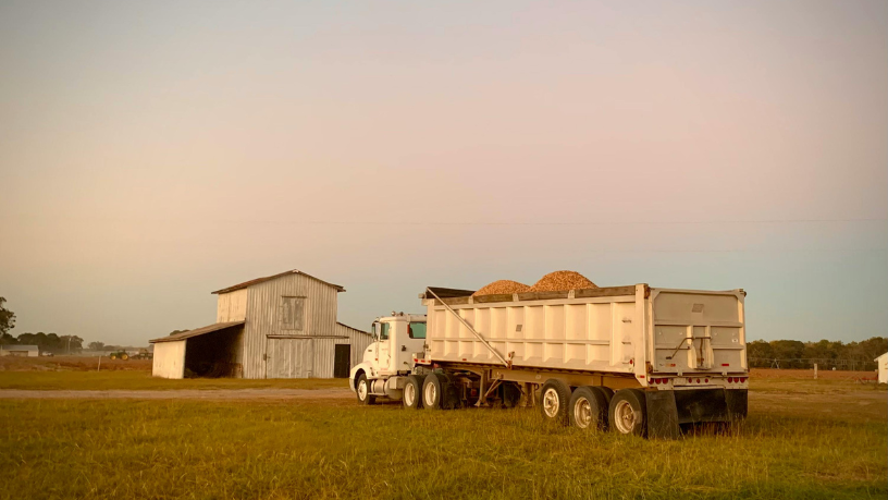 Aldo Vendramin ressalta que armazenagem global garante estabilidade em mercados agrícolas cada vez mais voláteis.
