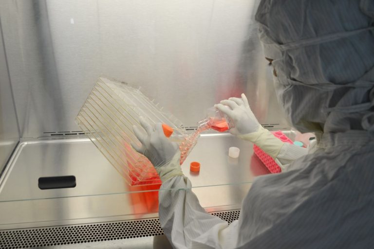 Cientista usando roupa de proteção trabalha com culturas celulares em um laboratório.