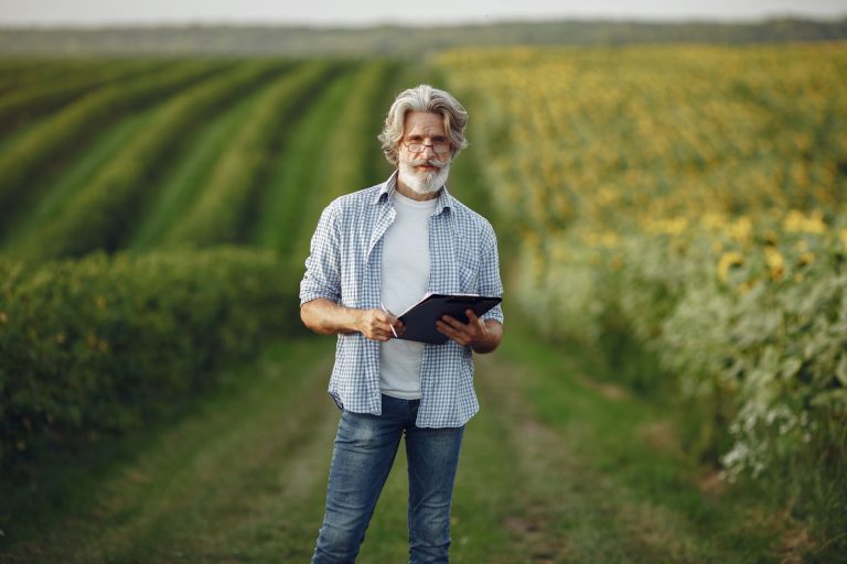Agricultor consulta um tablet em meio a uma plantação de girassóis.